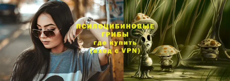 Псилоцибиновые грибы Psilocybe  это состав  Завитинск 